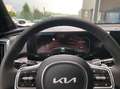 Kia Sorento Platinum 1.6T HEV AWD 360 Kamera Glasda Grau - thumbnail 10