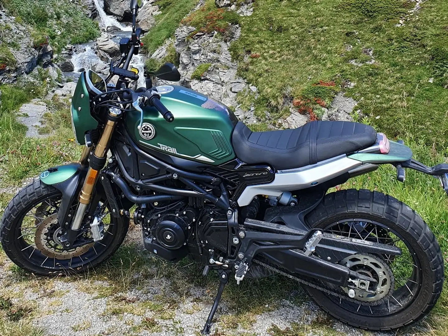 Benelli Leoncino 800 Trail Verde - 2
