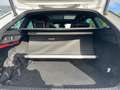 Skoda Octavia Combi RS 2.0TDI DSG 4x4 STHZG P-DACH LED Weiß - thumbnail 6
