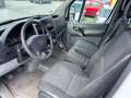 Mercedes-Benz Sprinter II Kombi 311 CDI KLIMA,9-Sitzer,1-Hand, Белый - thumbnail 5