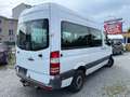 Mercedes-Benz Sprinter II Kombi 311 CDI KLIMA,9-Sitzer,1-Hand, Белый - thumbnail 4