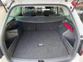 Skoda Fabia Combi 1,0 TSI Ambition Climatronic SHZ Weiß - thumbnail 11
