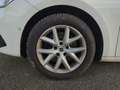 SEAT Leon ST 2,0 TDI Style DSG Navi+LED+ACC+Pano+Shzg Weiß - thumbnail 7