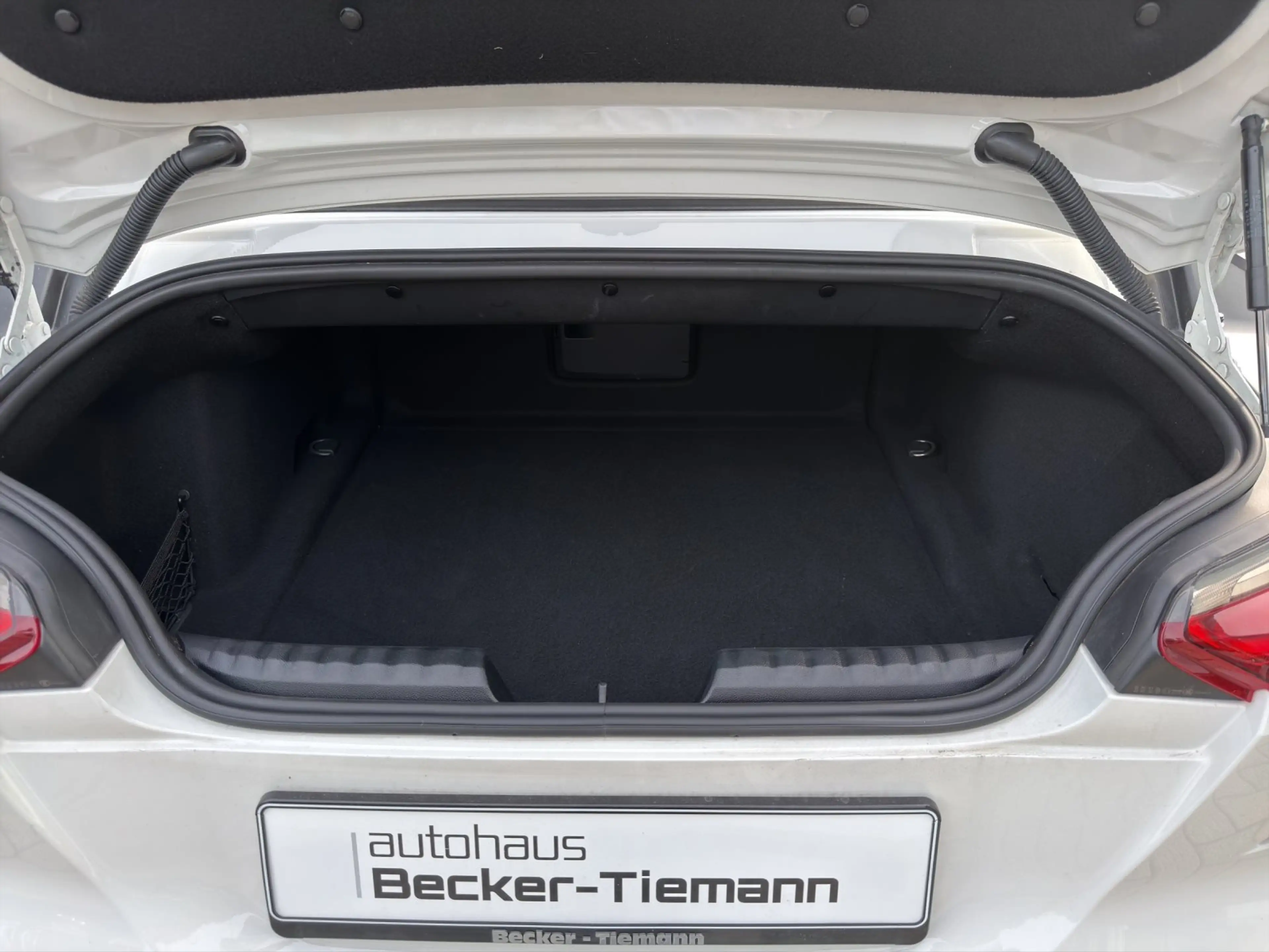 BMW Z4 sDrive20i 18" / HiFi / ACC / DAB / Ambiente / CarP — photo 13