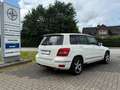 Mercedes-Benz GLK 220 CDI BlueEfficiency Leder Ahk Navi Blanc - thumbnail 10