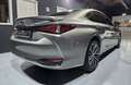 Lexus ES 300 h Business Line Aut. Silber - thumbnail 21
