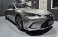 Lexus ES 300 h Business Line Aut. Silber - thumbnail 3
