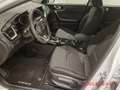 Kia Ceed / cee'd Vision Automatik 1.5T Komfort+-Paket Weiß - thumbnail 7