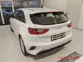 Kia Ceed / cee'd Vision Automatik 1.5T Komfort+-Paket Weiß - thumbnail 3