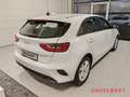 Kia Ceed / cee'd Vision Automatik 1.5T Komfort+-Paket Weiß - thumbnail 4