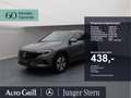 Mercedes-Benz EQA 350 4M Progressive Pano AHK Distronic OD VZA Grau - thumbnail 1