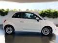 Fiat 500 1.0 Mild Hybrid Dolcevita - Carplay/ PDC/ Panorama Blanc - thumbnail 3