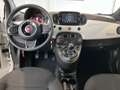 Fiat 500 1.0 Mild Hybrid Dolcevita - Carplay/ PDC/ Panorama Blanc - thumbnail 8