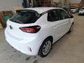 Opel Corsa F 1.5 Diesel Edition DynLicht/LM/SpurH Weiß - thumbnail 4