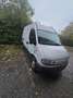 Renault Master Minibus 9-Sitzer 2,5 Ds. - thumbnail 3