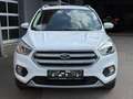 Ford Kuga Titanium Weiß - thumbnail 2