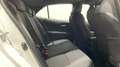 Toyota Corolla 125H Business Plus Blanco - thumbnail 12