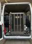 Fiat Ducato Minibus 9 posti Trasporto disabili Bianco - thumbnail 8