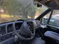 Fiat Ducato Minibus 9 posti Trasporto disabili Bianco - thumbnail 13