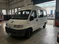 Fiat Ducato Minibus 9 posti Trasporto disabili Bianco - thumbnail 6