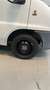 Fiat Ducato Minibus 9 posti Trasporto disabili Bianco - thumbnail 11