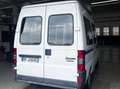 Fiat Ducato Minibus 9 posti Trasporto disabili Bianco - thumbnail 3