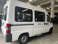 Fiat Ducato Minibus 9 posti Trasporto disabili Bianco - thumbnail 2