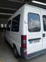 Fiat Ducato Minibus 9 posti Trasporto disabili Bianco - thumbnail 5