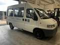 Fiat Ducato Minibus 9 posti Trasporto disabili Bianco - thumbnail 1