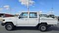 Toyota Land Cruiser HZJ 79 Double cabin - EXPORT OUT EU TROPICAL VERSI Wit - thumbnail 14