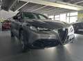 Alfa Romeo Stelvio 2.2 Turbodiesel 210 CV AT8 Q4 Sprint KM ZERO Grigio - thumbnail 6