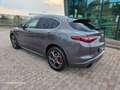 Alfa Romeo Stelvio Stelvio 2.2 210 CV Q4 valuto usato/scambio Gris - thumbnail 2
