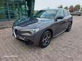 Alfa Romeo Stelvio Stelvio 2.2 210 CV Q4 valuto usato/scambio Gris - thumbnail 16