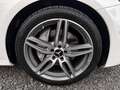Mercedes-Benz E 220 d AMG Line AHK COMAND SHD RFKA WIDESREEN Blanco - thumbnail 31