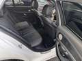 Mercedes-Benz E 220 d AMG Line AHK COMAND SHD RFKA WIDESREEN Blanco - thumbnail 24