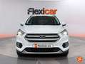 Ford Kuga 1.5 EcoBoost 88kW 4x2 Trend+ Blanco - thumbnail 2