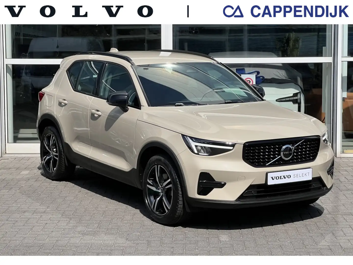 Volvo XC40 B4 197PK Plus Dark| Adap.Cruise| Trekhaak|Camera| Brun - 1