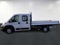 Peugeot Boxer Plateau DC 435 L4 Blanc - thumbnail 7