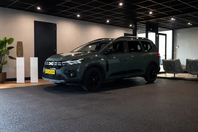 Dacia Jogger view 19