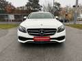 Mercedes-Benz E 200 d Austria Edition Aut. / 1BESITZ / DRIVING ASIS... Weiß - thumbnail 10