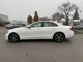 Mercedes-Benz E 200 d Austria Edition Aut. / 1BESITZ / DRIVING ASIS... Weiß - thumbnail 3