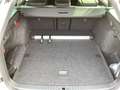Skoda Octavia Combi RS 2.0 TSI 265PS AHK Canton Navi Weiß - thumbnail 11