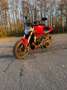 Ducati Monster 1200 crvena - thumbnail 2