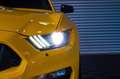 Ford Mustang 5.2 V8 GT 350 SCHALTER/CARPLAY/LED Galben - thumbnail 5