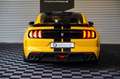 Ford Mustang 5.2 V8 GT 350 SCHALTER/CARPLAY/LED Galben - thumbnail 10