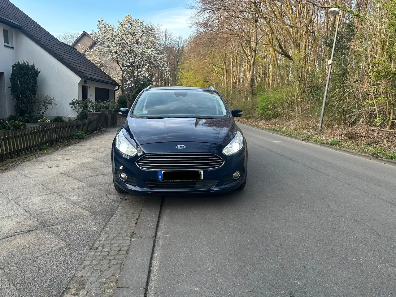 Ford S-Max