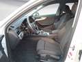 Audi A4 allroad quattro 40TDI S tronic AssistTour Bus Blanc - thumbnail 8
