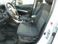 Suzuki SX4 S-Cross 1,6 DDIS, ALL Grip Shine 4x4, Navi, Sitzheizung. Weiß - thumbnail 9