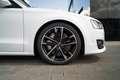 Audi S8 S8 Plus Bianco - thumbnail 8