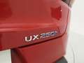 Lexus UX 250h BUSINESS 2.0 HYBRID 184 CV AUTO 5P Rojo - thumbnail 21